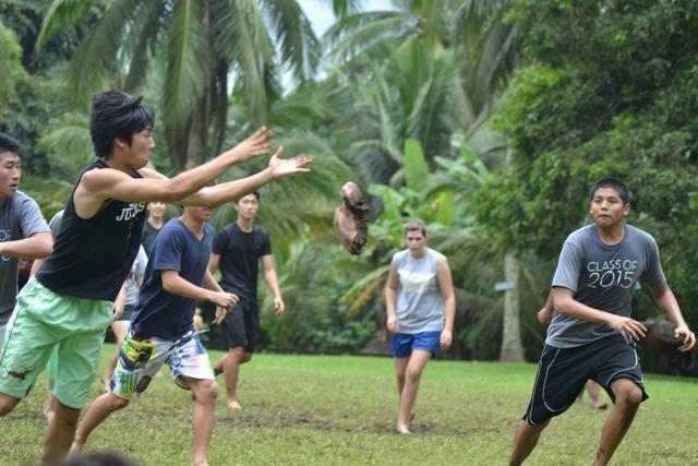 Cow tongue toss outside, where is belongs